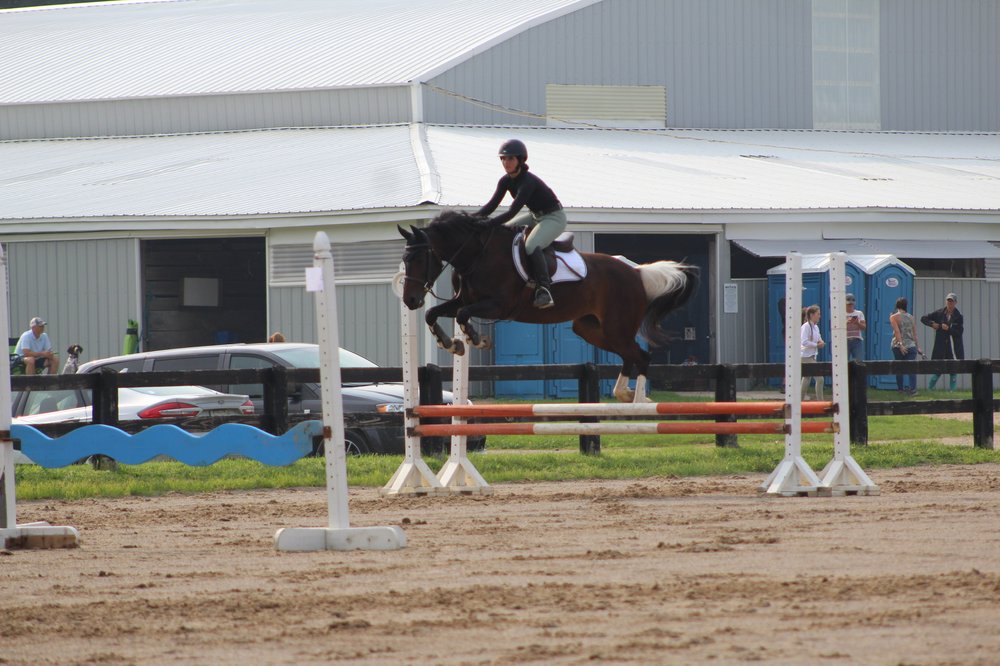 Dream Big Farm - equestrian in Goodrich, MI