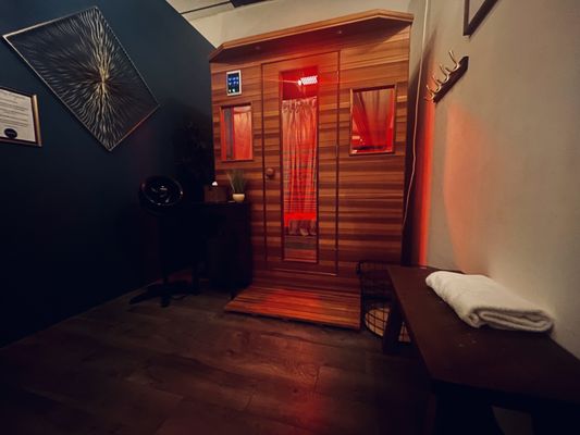 Health Mate Infrared Sauna by null