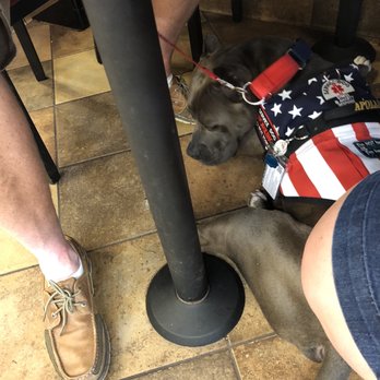 Arfordable Dog Training - Placed under table out in public. - Pet Training Near Me - Converse, Texas Arfordable Dog Training - Placed under table out in public. - Pet Training Near Me - Converse, Texas