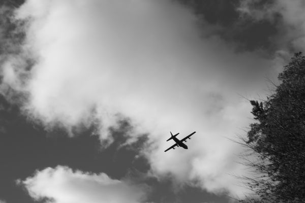 Mount Pleasant Cemetery by null