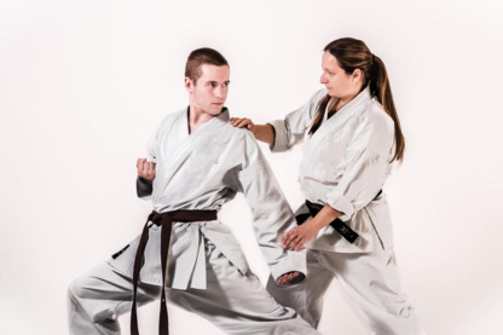 Toraguchi Martial Arts Logo