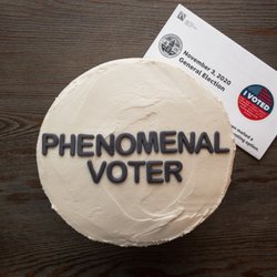 Quarantine Qakes - Red & Blue Velvet Voter Cake