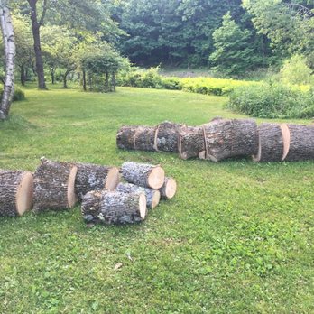 Busch Tree Service - Cleaned up leaves and chips with a blower! - Tree Services Near Me - Ashley Falls, Massachusetts