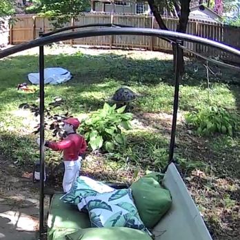 Berber Landscaping - Backyard put to rights. - Landscaping Near Me