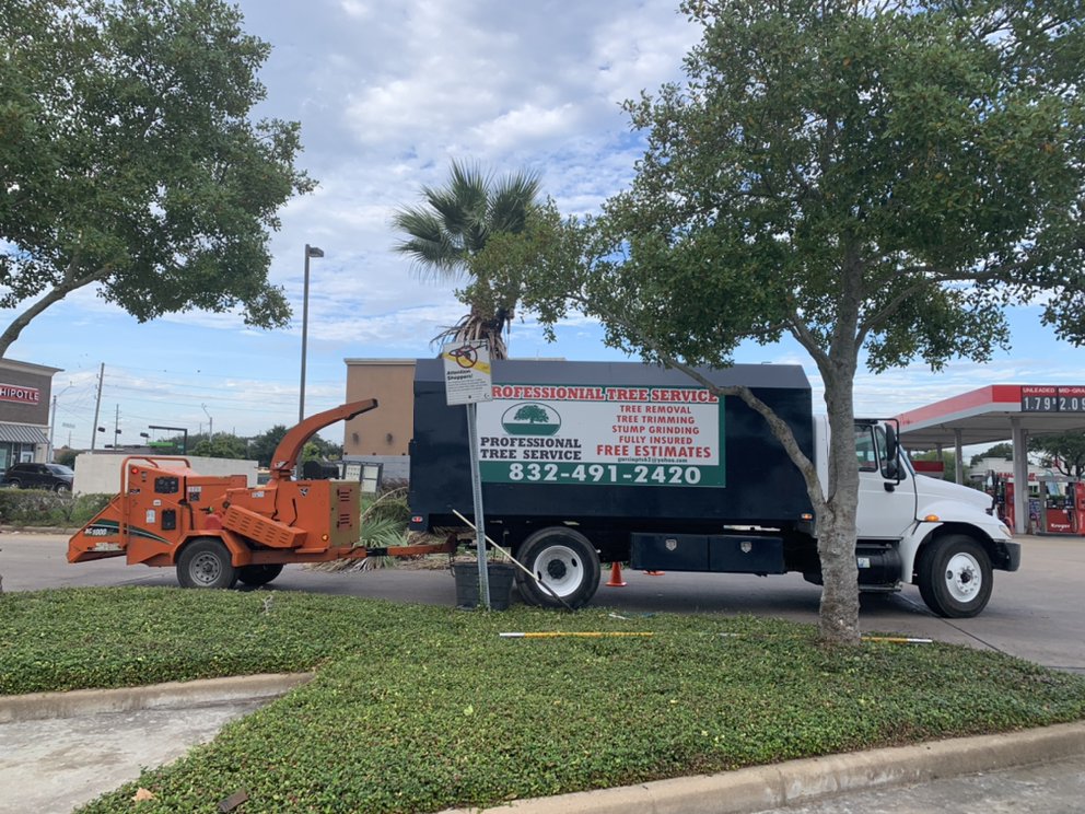 GARCIA PROFESSIONAL TREE SERVICE 125 Photos & 135 Reviews Tree