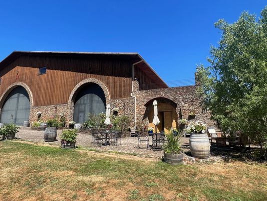 Maysara Winery by null