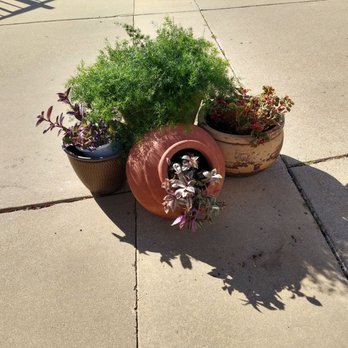 The Promise - Texas - Pottery w Plants. - Performing Arts Near Me - Willow Park, Texas