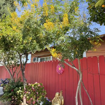 Chua Phap Van - Buddhist Temples Near Me - Pomona, California Chua Phap Van - Buddhist Temples Near Me - Pomona, California
