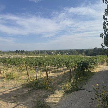 3100 Cellars - Wineries Near Me - Eagle, Idaho 3100 Cellars - Wineries Near Me - Eagle, Idaho