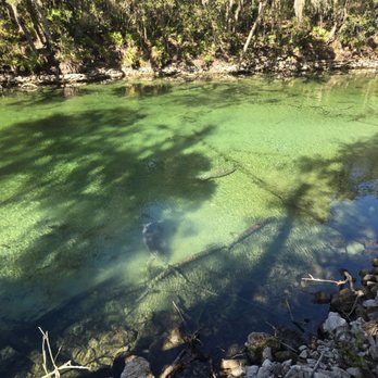 Blue Spring State Park - Parks Near Me - Orange City, Florida