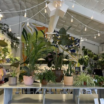 The Power Plant Coffee - plants - Coffee & Tea Near Me - Moss Landing, California The Power Plant Coffee - plants - Coffee & Tea Near Me - Moss Landing, California
