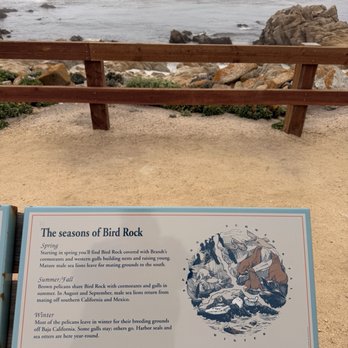 Bird Rock - Beaches Near Me - Pebble Beach, California