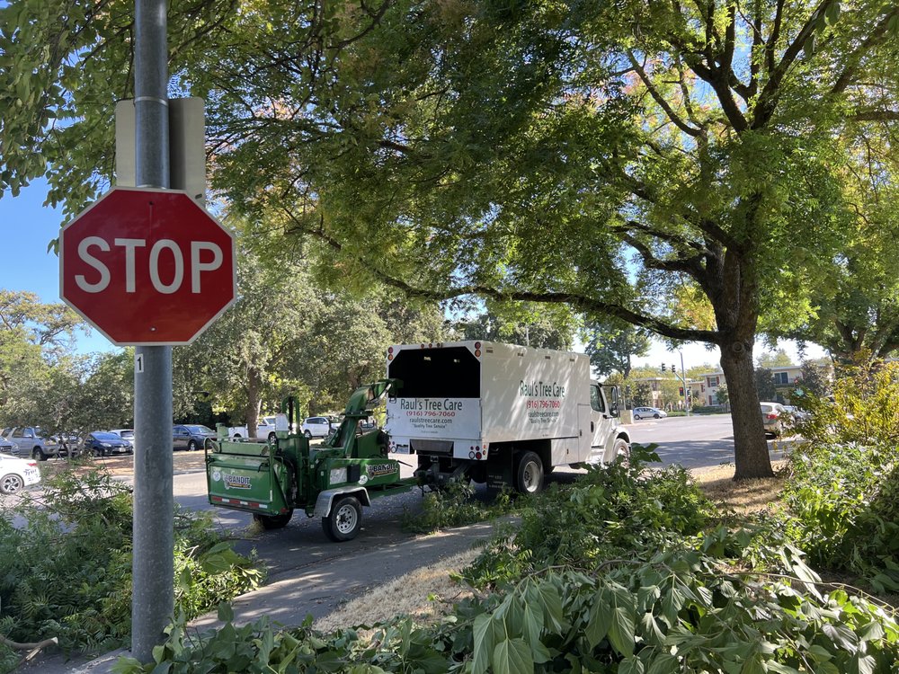 Raul's Tree Care - tree service in Sacramento, CA