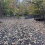 Photo of Zachary Taylor Park