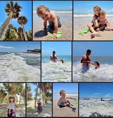 Edisto Beach State Park by null