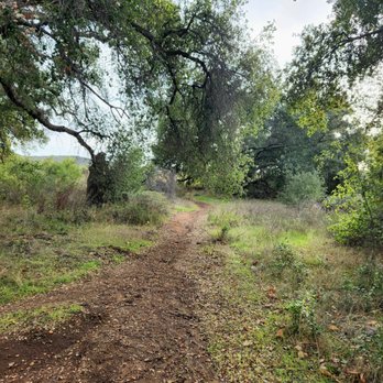 Ramona Oaks Shade Trail - Hiking Near Me - Ramona, California Ramona Oaks Shade Trail - Hiking Near Me - Ramona, California