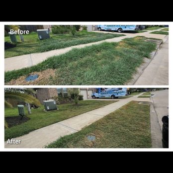 Mercado Mowers - Before and after pics of my yard. Such a nice professional job. - Lawn Services Near Me - Houston, Texas Mercado Mowers - Before and after pics of my yard. Such a nice professional job. - Lawn Services Near Me - Houston, Texas