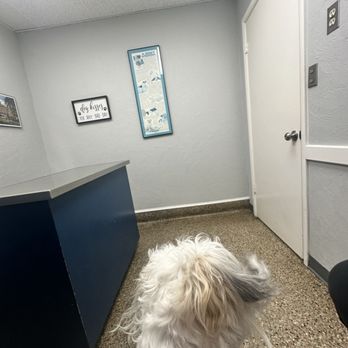 Midwest Veterinary Hospital - Veterinarians Near Me - Oklahoma City, Oklahoma Midwest Veterinary Hospital - Veterinarians Near Me - Oklahoma City, Oklahoma