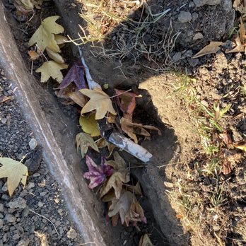 Pure Pool Services - Another sprinkler pipe they broke and did not fix. - Pool Cleaners Near Me