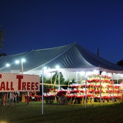 Green Mountain Christmas Trees