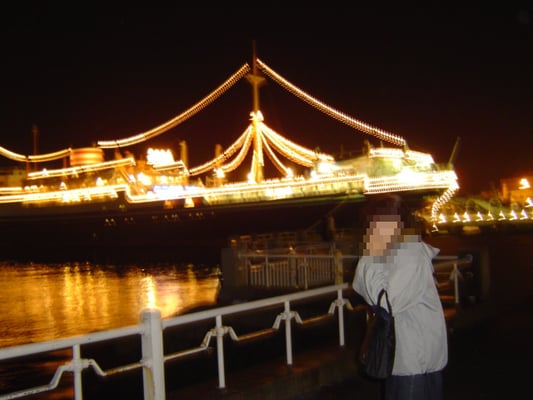 NYK Hikawa Maru by null