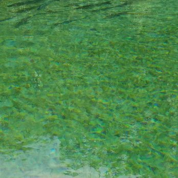 Rainbow River Kayak Adventures - Rafting/Kayaking Near Me - Dunnellon, Florida Rainbow River Kayak Adventures - Rafting/Kayaking Near Me - Dunnellon, Florida