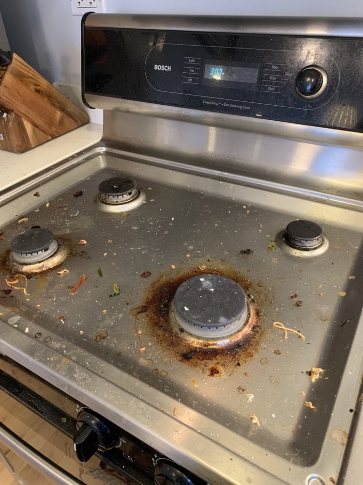 CHICAGO CLEANING CHICKS Updated September 2024 Chicago, Illinois