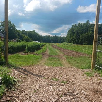 Holcomb Farm - Pick your own - Community Service/Non-Profit Near Me - West Granby, Connecticut