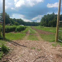 Pick your own