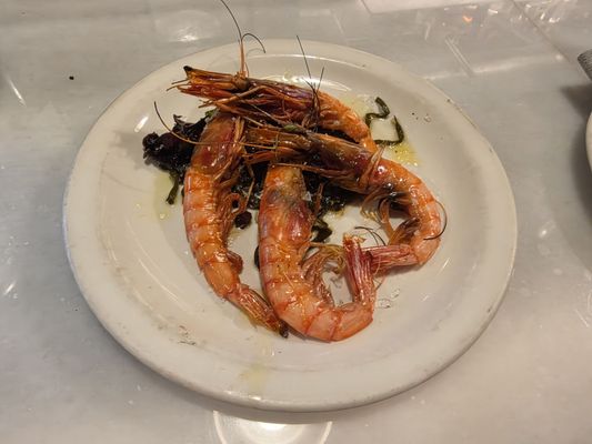 Bodega Amposta by null