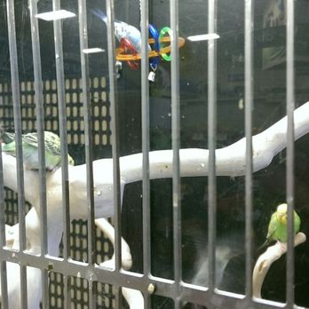 PetSmart - Pet Training Near Me - Greenfield, Wisconsin