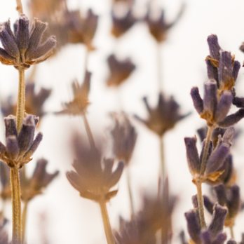 Tune Up Holistic Care - Massage Near Me - Vallejo, California