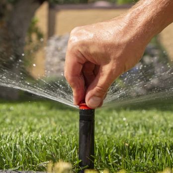 ArborLawn - a hand sprinkles water from a sprinkler - Tree Services Near Me - Lansing, Michigan