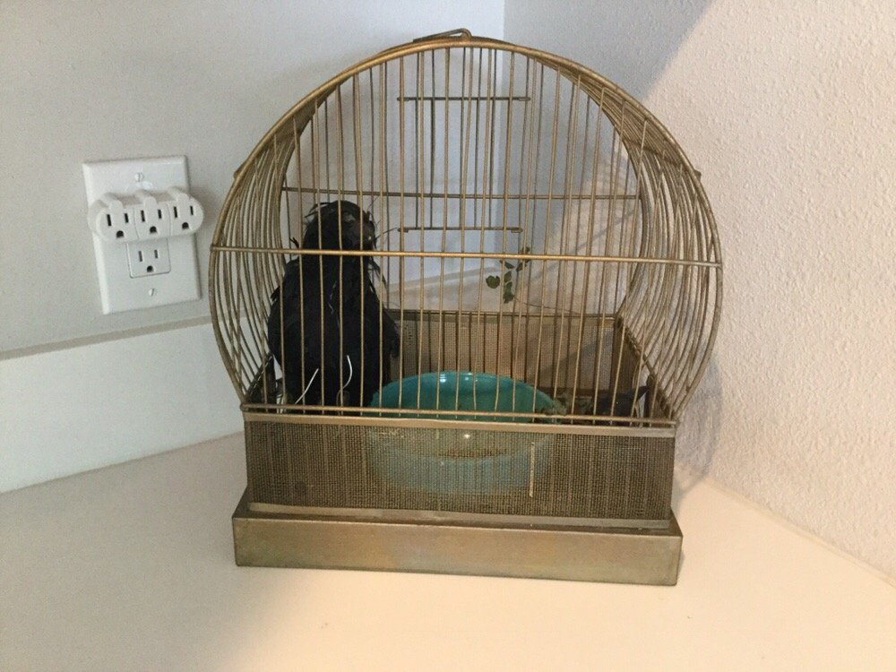 BODEGA BAY VISITOR CENTER Updated September 2024 913 Hwy 1, Bodega