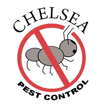 Chelsea Pest & Termite Control - Pest Control Near Me - San Diego, California Chelsea Pest & Termite Control - Pest Control Near Me - San Diego, California