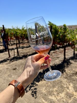 Ru Vango Winery, 1285 Dealy Ln, Napa, CA 94559, US - MapQuest