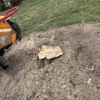 Eastside Tree - Tree Services Near Me