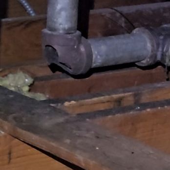 Fred's Pest Control - This is the pipe that Fred found. Nobody else noticed it. - Pest Control Near Me - Granada Hills, California Fred's Pest Control - This is the pipe that Fred found. Nobody else noticed it. - Pest Control Near Me - Granada Hills, California