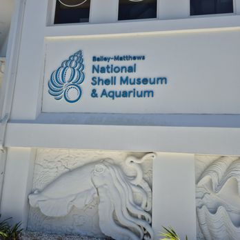 The Bailey-Matthews Shell Museum - Museums Near Me - Sanibel, Florida