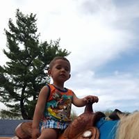 Lil'cowpoke Parties - equestrian in Hamilton, MA