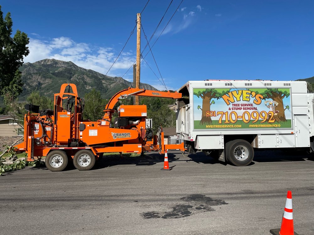 Nye's Tree Service - tree service in Ogden, UT