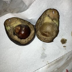 Polly Market - The avocados they decided to sell