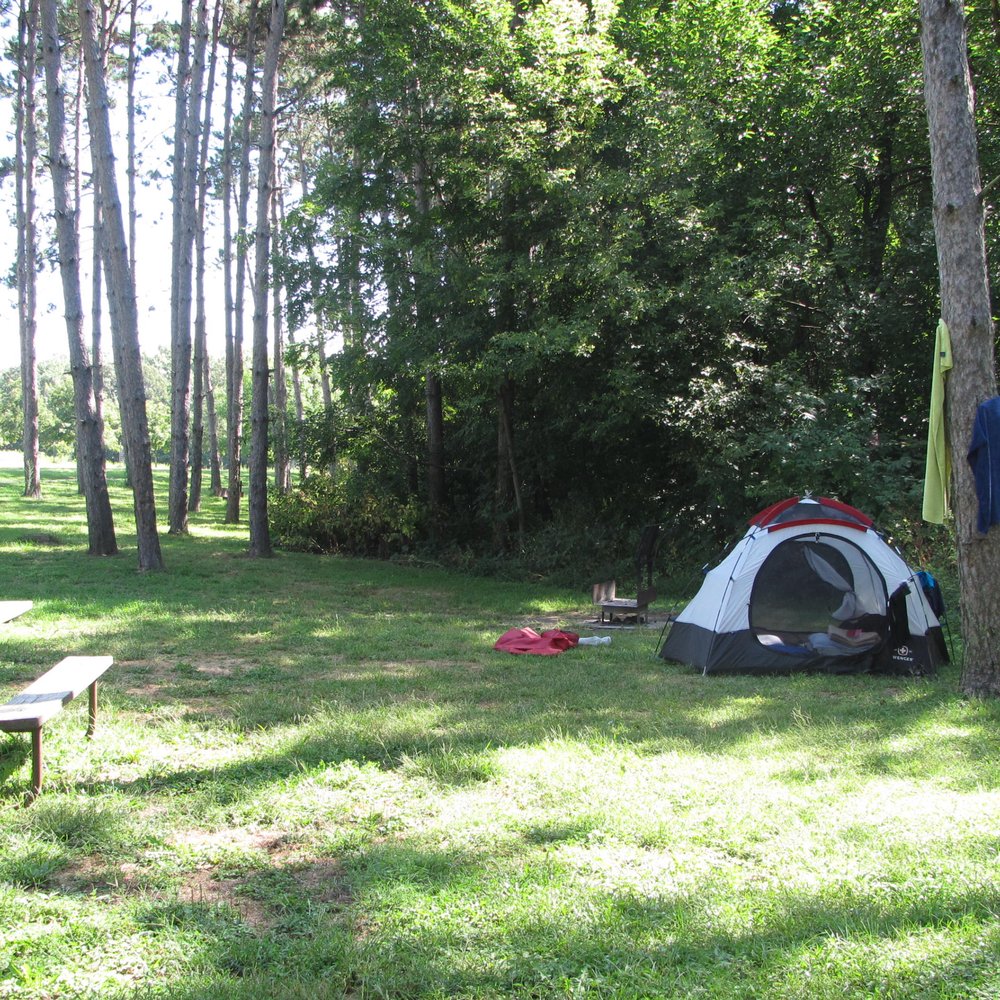 Johnson Sauk Trail State Park - Tent camping area in the Pines. - Parks Near Me - Kewanee, Illinois
