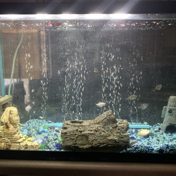 PetSmart - Pet Training Near Me - Las Vegas, Nevada PetSmart - Pet Training Near Me - Las Vegas, Nevada