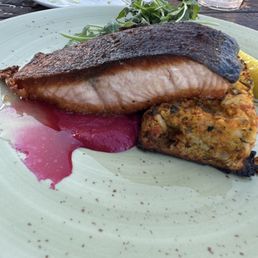 Salmon Salmon