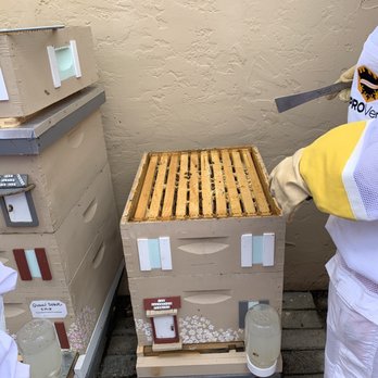 PurrFect Honey - Bee Hive - Community Service/Non-Profit Near Me PurrFect Honey - Bee Hive - Community Service/Non-Profit Near Me