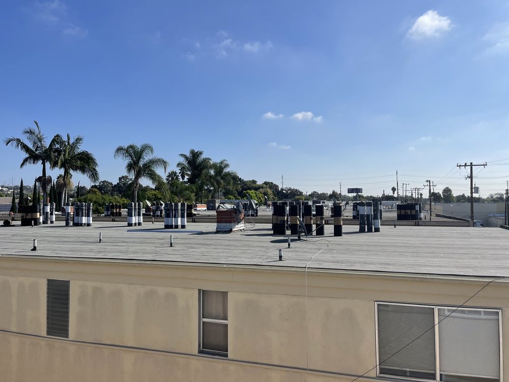 Slide of DLS Development