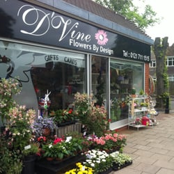 D'vine