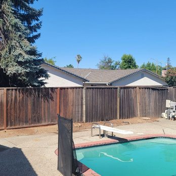 Jose tree service - After! - Tree Services Near Me Jose tree service - After! - Tree Services Near Me