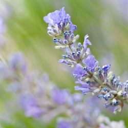 Hand & Stone Massage and Facial Spa - Brampton